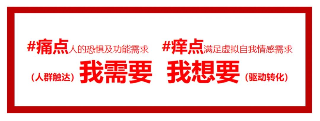 6年做到品类第一！高热宠物用品赛道来看pidan怎么做小红书投放布局？